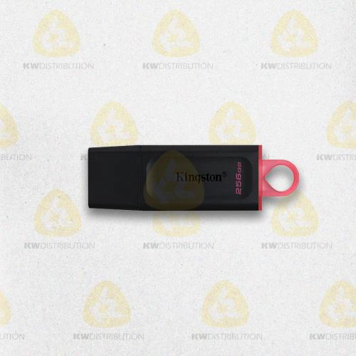 CLE USB 256 Go Kingston DataTraveler Exodia DTX